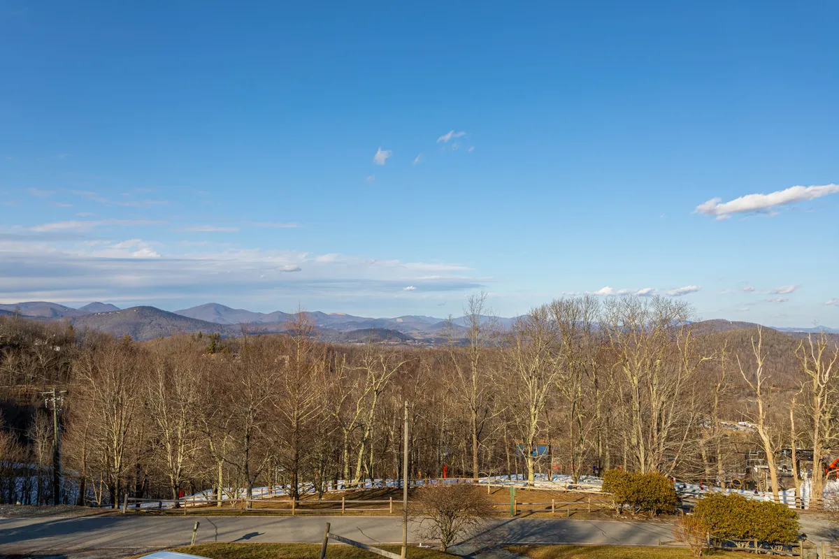 A panoramic view of rolling mountain ranges framed by bare trees and a crisp, clear sky. The landscape evokes a sense of tranquility, space, and the inviting wilderness that awaits just beyond the property.